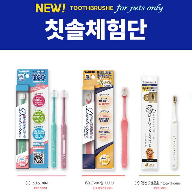 [인스타] 반려동물 치아 건강에 진심인 애니멀닥터 칫솔로 강아지 고양이 맞춤 치아