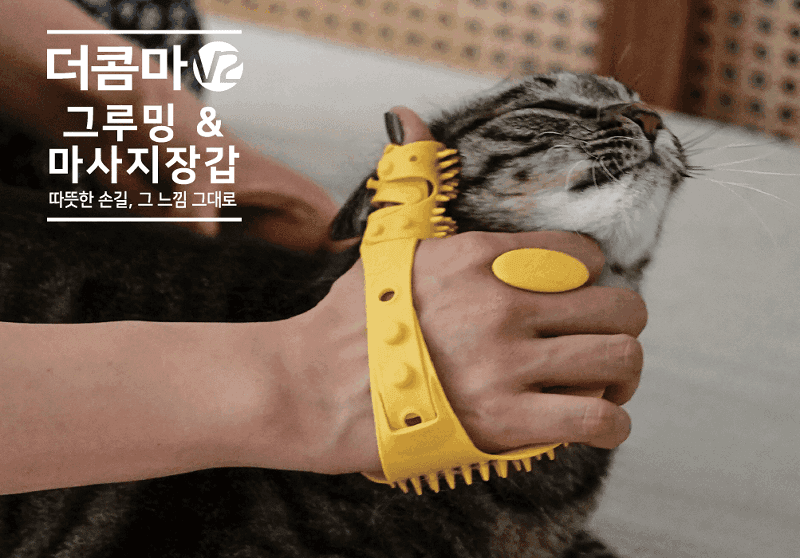 [블로그] 멍가 기분이 좋다냥