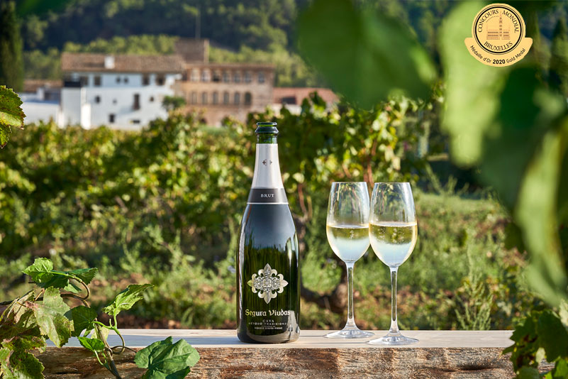 [블로그] 세구라 비우다스 브뤼 와인 추천♥