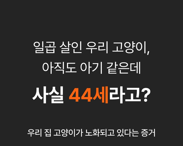 [블로그] 반려묘를 위한 맞춤 케어! 닥터펠리스 세븐플러스 케어 스틱 치킨맛과 연