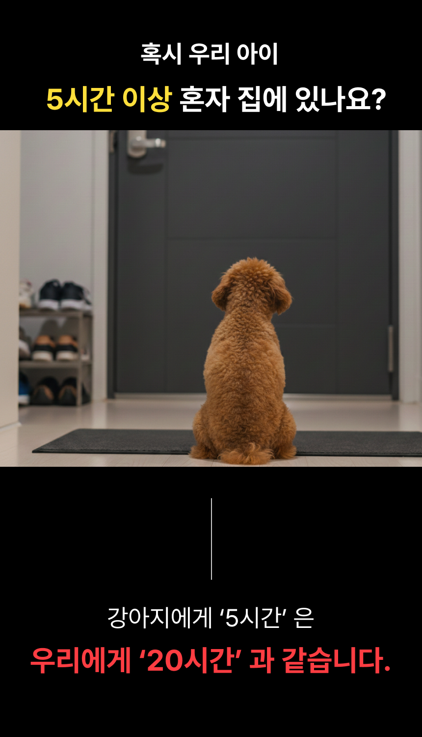 [인스타] 강아지를 위한 마음쉼표트릿 4봉