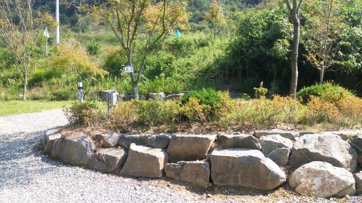 [전남/곡성] 맑은 공기쐬며 힐링캠핑 하실 분~♥