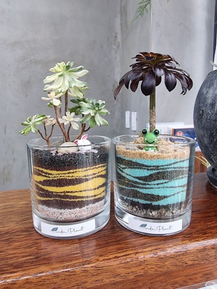 [경북/안동] 경북 이색데이트는 린다플랜트에서♥