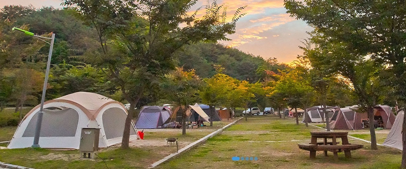 [릴스/철원] 화강의 바람 별빛 아래 화강쉬리캠핑장
