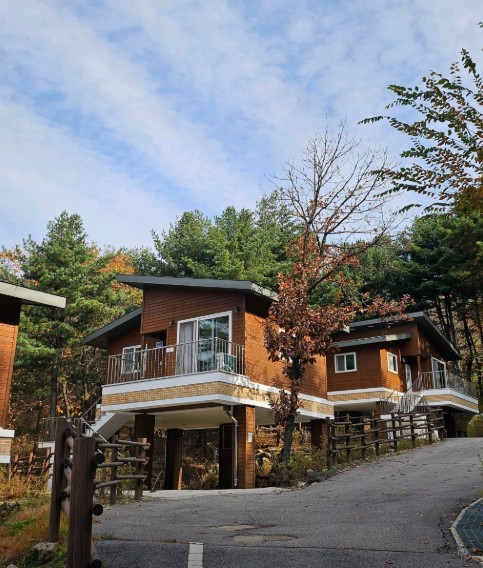 [릴스/철원] 자연휴양림 두루웰숲속문화촌