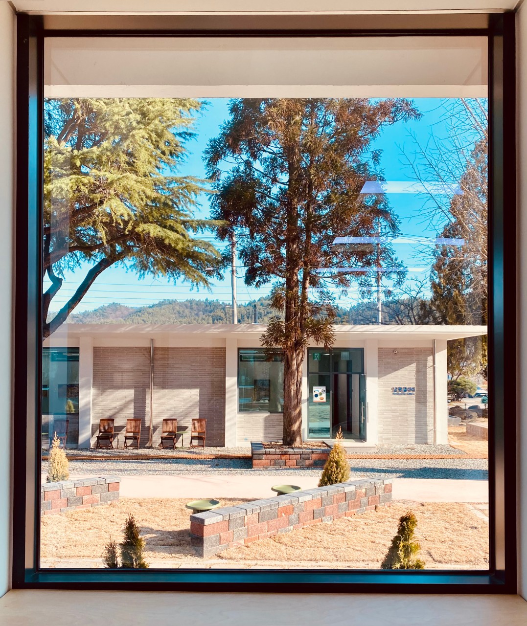 [릴스/전남/나주] 예술과 휴식이 공존하는 카페, 남평507♥